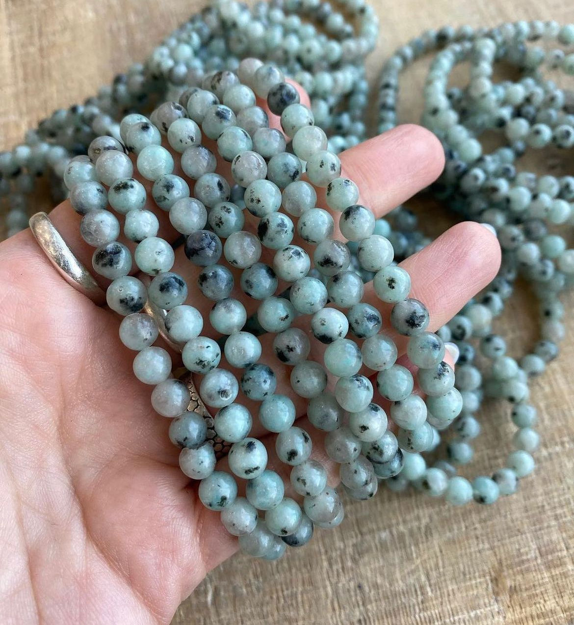 Kiwi Jasper