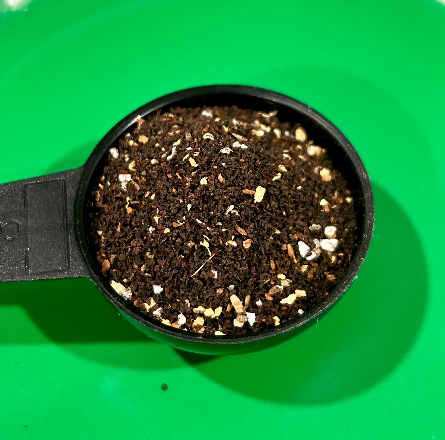 Chai Tea
