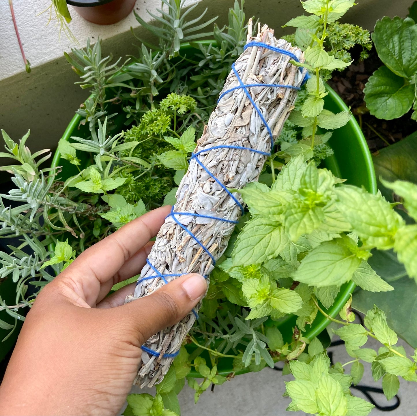 Smudge Stick